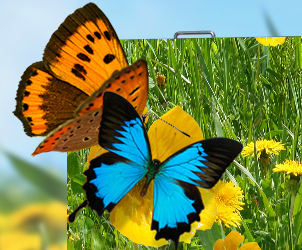 多宝电竞对户外LED显示屏的验收标准详情