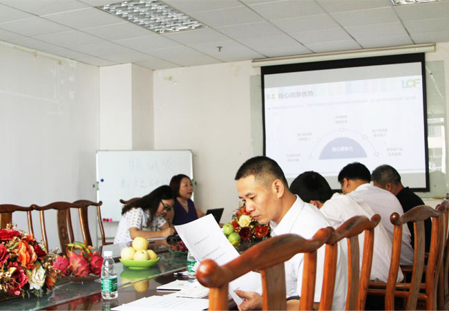 上市办领导听多宝电竞创始人龙平芳女士做深度汇报